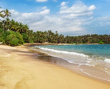 Plots For Sale in Ponneri | Pazhaverkadu | Onyx Back Waters