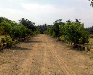 Villas and Beach View Plots For Sale in ECR | Kadapakkam