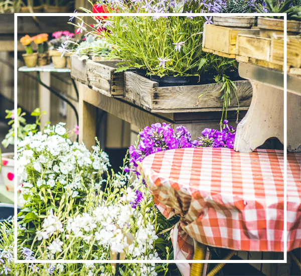 Professional Landscape and Gardening Services in Chennai